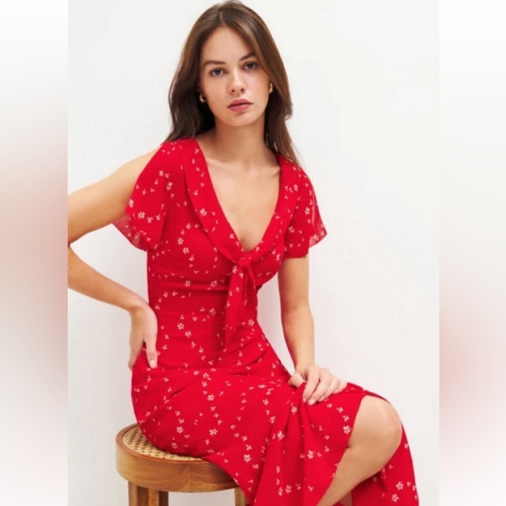 Reformation Talleen Dress in Red Floral Print
